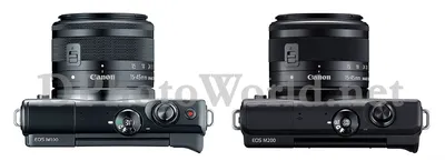 Canon EOS M100 пример фотографии 258463405