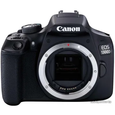 Краткий обзор Canon EOS 50D | Радожива