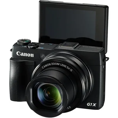 Canon PowerShot G1 X пример фотографии 310042969