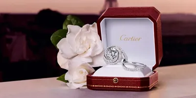 обручальное кольцо в коробочке, cartier кольцо в коробочке, обручальные  кольца cartier оригинал, cartier коробка для кольца, свадебный -  The-wedding.ru