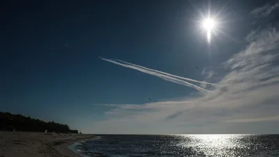 Фото отдыхающих. Частное домовладение Первая линия на Морской, Арабатская  стрелка