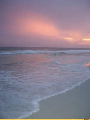 Туристы отдыхают на пляже Балтийского моря Мужчина удаляет любительское  видео на камеру Редакционное Стоковое Фото - изображение насчитывающей  люди, небо: 162210583