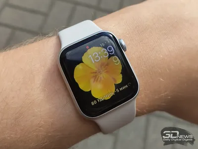 Новые часы и титановый iPhone 15 : какие новинки подготовила Apple для  любителей гаджетов