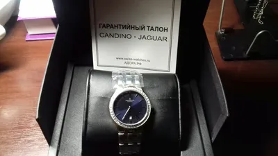 Обзор. Мужские часы Candino Elegance Day-Date — блог AllTime.ru