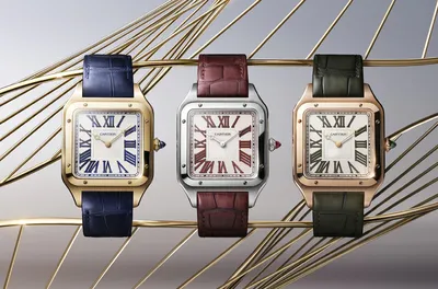 Наручные часы Cartier Santos de Cartier WSSA0030 — купить в  интернет-магазине Chrono.ru по цене 1161600 рублей