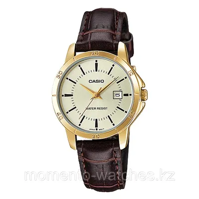 Наручные часы CASIO MTP-1375L-1AVDF - купить по лучшей цене | WATCHSHOP.KZ