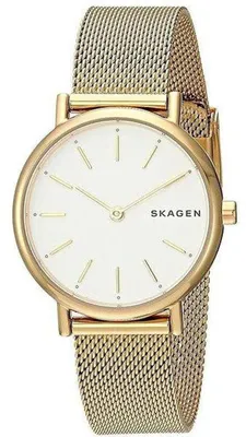 Наручные часы Skagen Grenen SKW6181