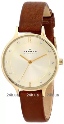 Наручные часы Skagen SKW6785