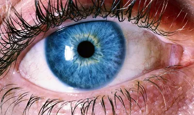 Человеческий Глаз Макрос — стоковые фотографии и другие картинки Карие глаза  - Карие глаза, Близко к, Смотреть - iStock