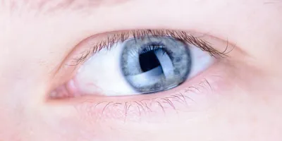 Иллюстрация человеческий глаз на цветной творческий фон Stock Illustration  | Adobe Stock