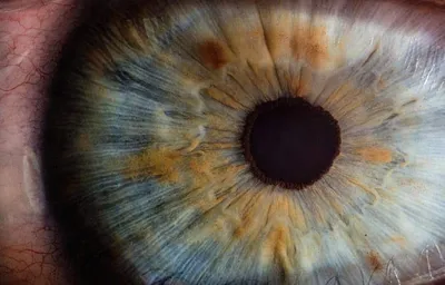 Человеческий глаз, зрачок-…» — создано в Шедевруме