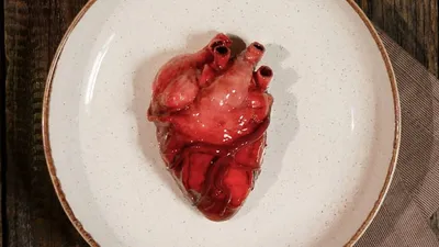 Реалистичное Человеческое Сердце - 3d stl модель для ЧПУ