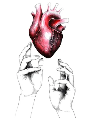 Реалистичное человеческое сердце | Премиум векторы