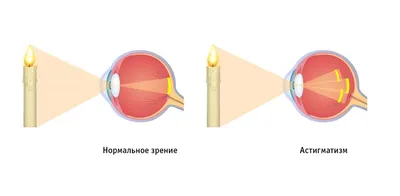 Нужна помощь котику без глаза - Zoo ○ Информ