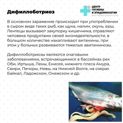 Осторожно – зараженная рыба! | ТФОМС Республики Башкортостан