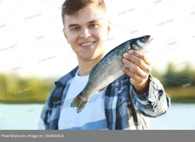 человек держит большую рыбу в воде, картинка окуня фон картинки и Фото для  бесплатной загрузки