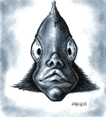 человек-рыба (© Tilapia sapiens) (Александр Амелькин) - ИЕРОГЛИФ