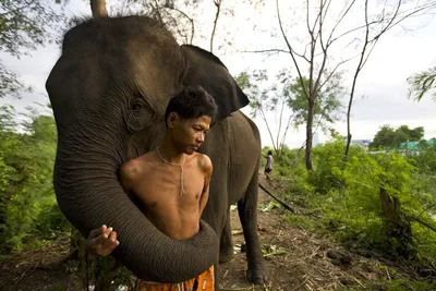 Человек-слон / The Elephant Man (1980, фильм) - «Физическое уродство ничто  в сравнении с моральным уродством! А встречают всегда по \"одёжке\"!» | отзывы