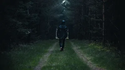 Человек идет на дорогу леса с корзиной Стоковое Фото - изображение  насчитывающей сезон, человек: 131503184