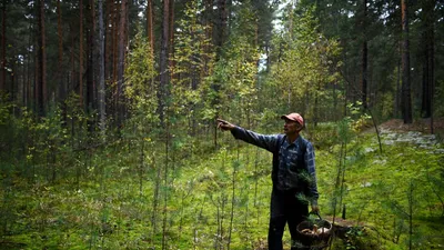 Темный силуэт человека в лесу - 65 фото