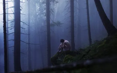 Вид сзади человека в лесу · Бесплатные стоковые фото