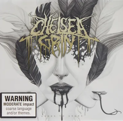 Чехол для iPhone 4 Chelsea Grin Evolve - купить с доставкой по Москве и  России, фото, цена в магазине рок атрибутики - rock-df.ru