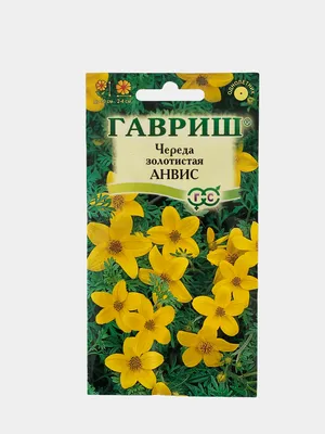 Череда Анвис (семена,цветы) купить по цене 49 ₽ в интернет-магазине  KazanExpress