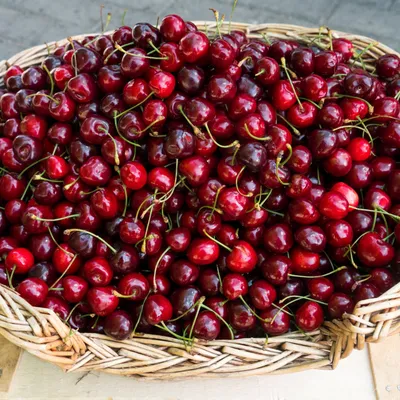 Ягода Дары Ташкента Черешня свежая \"Бычий глаз\" - «🍒 Сочная, вкусная,  спелая черешня из Узбекистана - \"Бычий глаз\"» | отзывы