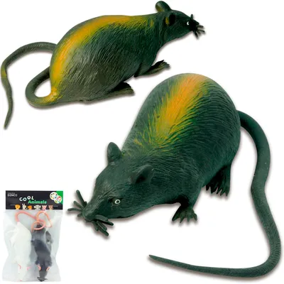черная крыса на столе стоковое изображение. изображение насчитывающей  эпидемия - 246678863
