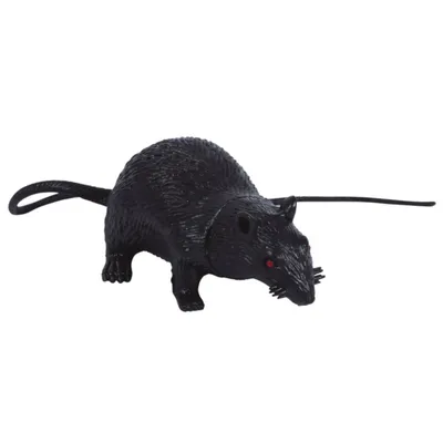 Фигурка-тянучка антистресс \"Черная крыса\" НА101ДБ 15 см. Животное из  термопластичной резины - купить с доставкой по выгодным ценам в  интернет-магазине OZON (789052404)