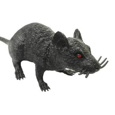 Черная крыса - украшение на Хэллоуин