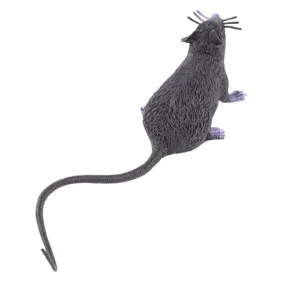 Черная крыса 3D model - Скачать Животные на 3DModels.org