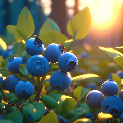 Черника в лесу. | Blueberry, Fruit, Photo