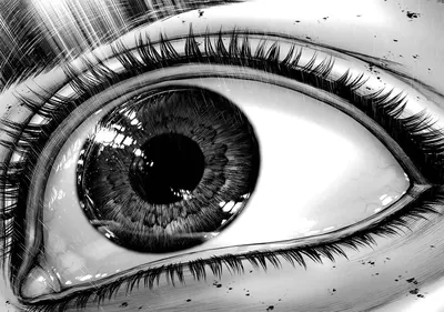 рисунок женского глаза с черно белыми деталями, черно белые рисунки фон  картинки и Фото для бесплатной загрузки