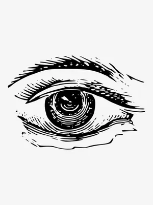Черно-белое нарисованное вручную изображение человеческого глаза  Иллюстрация штока - иллюстрации насчитывающей ресница, икона: 148386784