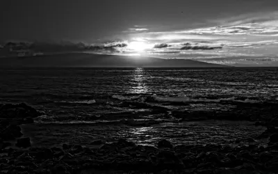 Черно-белое фото воды моря с пляжа на фоне заката - обои на рабочий стол