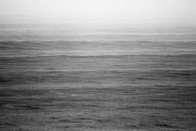 Черно-белые фотографии и морской пейзаж Черное море чайок моря Стоковое  Фото - изображение насчитывающей ландшафт, море: 178274948