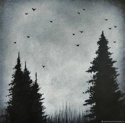 Флизелиновые фото обои пейзаж 368 x 280 см Черно-белый лес в тумане  (13564V10)+клей (ID#1400004282), цена: 2000 ₴, купить на Prom.ua