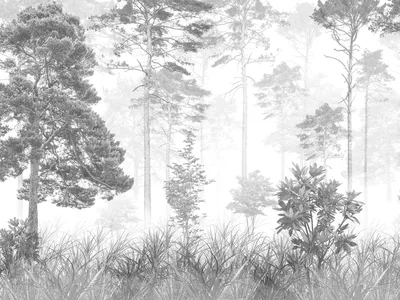 Обои лес, туман, осень, мрак, черно-белый картинки на рабочий стол, фото  скачать бесплатно