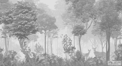 Чёрно-белое изображение леса. …» — создано в Шедевруме