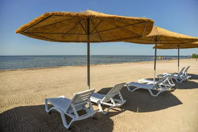 Сколько стоит отдых в Грибовке – цены в отелях, как снять домик у моря |  РБК-Україна