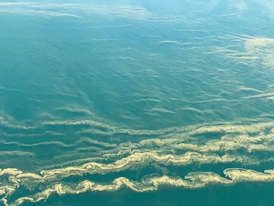 Глубина черного моря (55 фото) - 55 фото