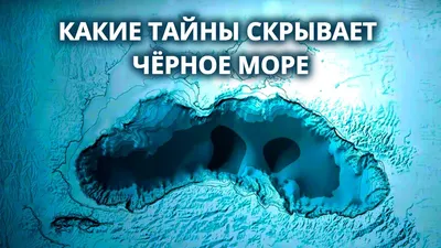 Опасность Черного моря. Убийцы под водой. Часть 1. | Путешествуем вместе с  JeepTravel - Анапа, Геленджик | Дзен