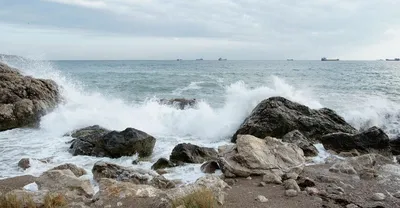 Эколог рассказал, чем грозит снижение уровня солености воды в Черном море |  Факты ICTV