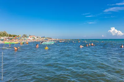 50 интересных фактов о Черном море | Академия Туризма | Дзен