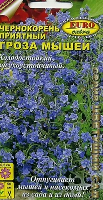 Чернокорень Гроза Мышей 0,5 гр. купить оптом в Томске по цене 12,76 руб.