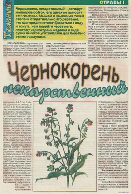 Чернокорень лекарственный, трава 50гр. купить в Москве в одном из наших  магазинов или с бесплатной доставкой по Москве в интернет-магазине по  низкой цене. Рецепты, применение, отзывы.