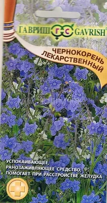 Чернокорень лекарственный 5 шт купить в Пензе цена 29 руб.|Зеленый дом