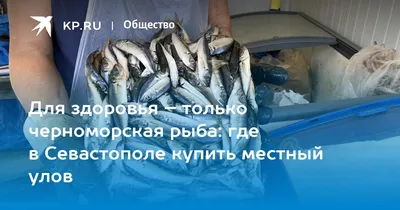 Рыба Азовская и Черноморская хамса - «Рыба, которую сравнивают по вкусу с  черной икрой. Мои простые рецепты из хамсы с фотографиями » | отзывы