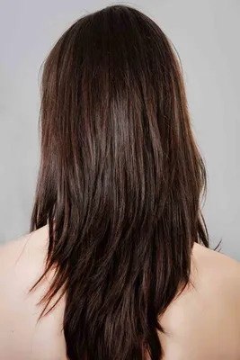 Ламинирование волос в Евпатории - Процедуры для волос - Красота: 47  парикмахеров